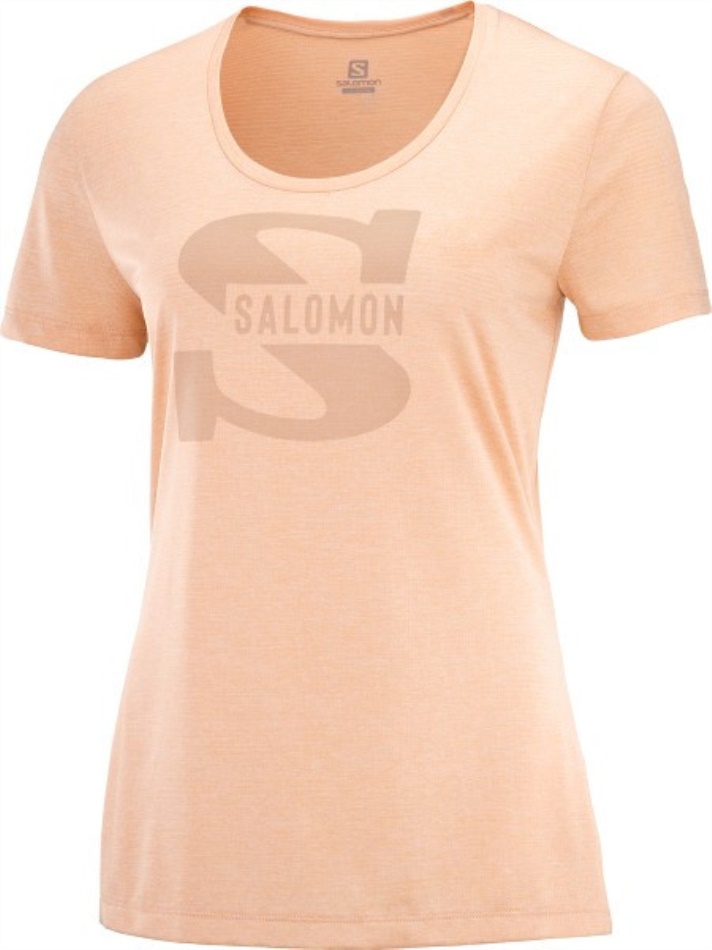 CHILL PRINT SS TEE Rosa