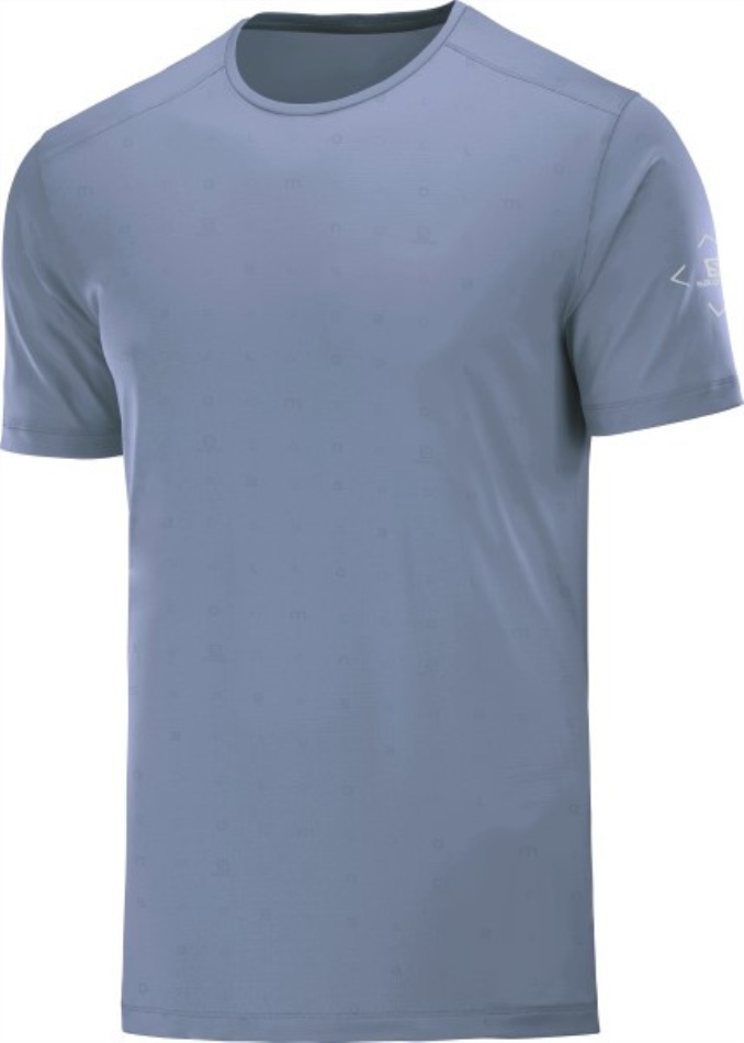 LOGO WET SS TEE M Gris-Celeste